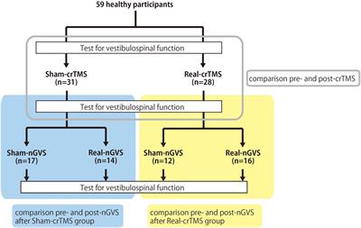 Cerebellar Repetitive Transcranial Magnetic Stimulation and Noisy Galvanic Vestibular Stimulation Change Vestibulospinal Function